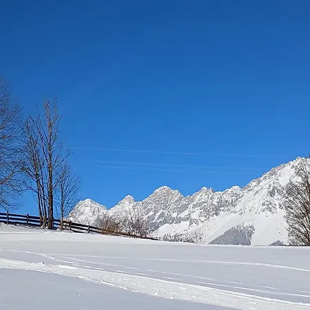 Apartment Alpenblick *