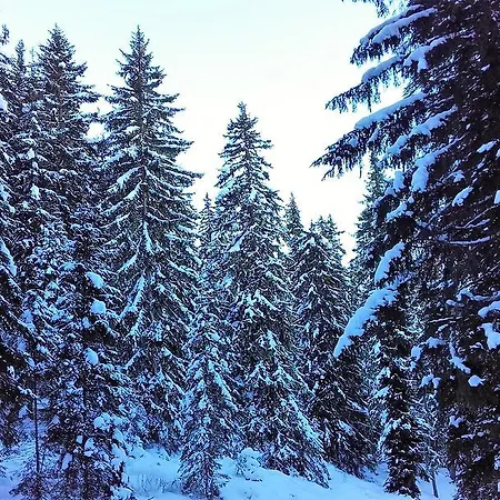 Alpenblick