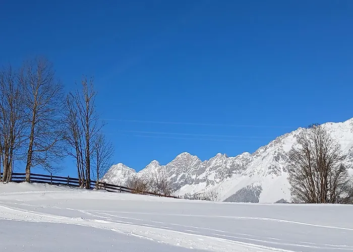 Apartmán Alpenblick *